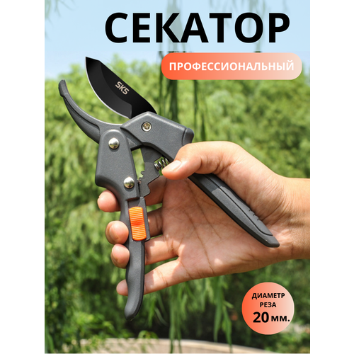 ���� ������� ��� ���� ����������������, ������ �� 790 ���