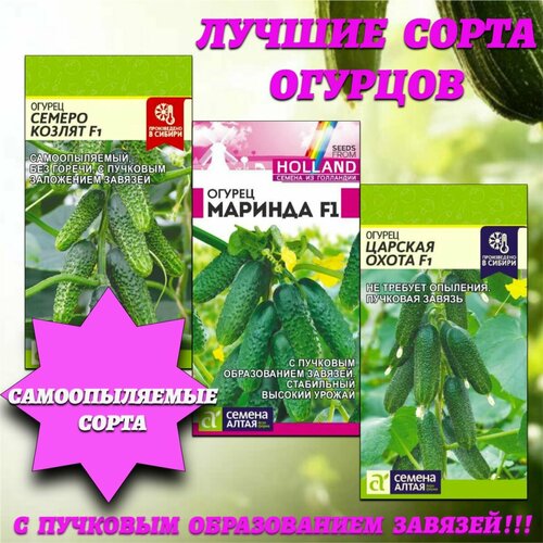 ���� ������ ����� ������������� �������� �������. ������ �����, ������ �� 434 ���