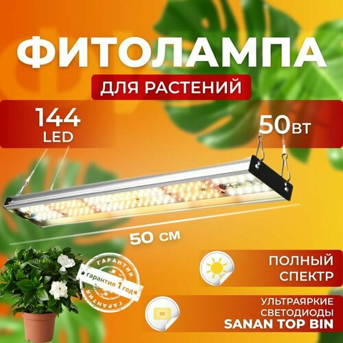        ,   ,     50  144 LED   -     , -, 