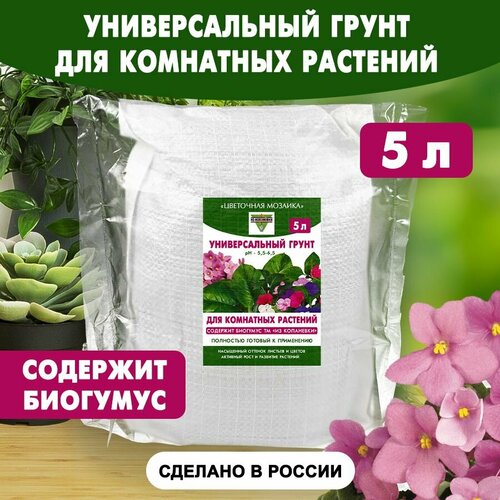 ���� ������������� ����� ��� ��������� �������� 5 �, ������ �� 448 ���