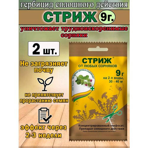 ���� �������� ����� 9��, �� �������� ��������� ��������, ������ �� 375 ���