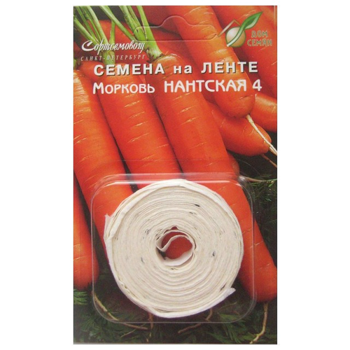 ���� ������ ������� ��������-4 �� ����� 8� ��� ����, ����, �������, ������� / ������� � �������� ��������, ������ �� 299 ���