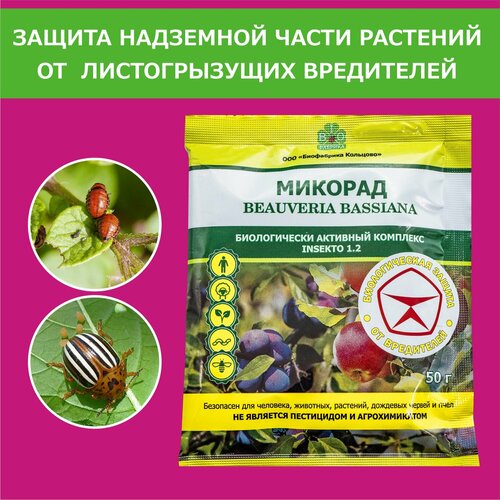   INSEKTO 1.2           50 ,,   545 