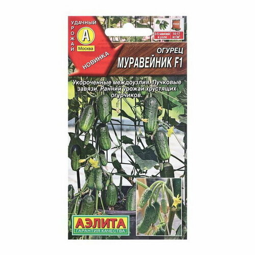 ���� ������ ������ ���������� F1 ���� �/� 10��, ������ �� 187 ���