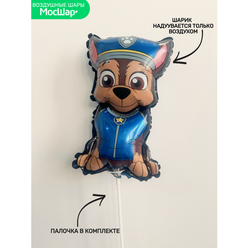 ���� ��� �� ������� ���� ������ ������� ������� ����, ������ �� 324 ���