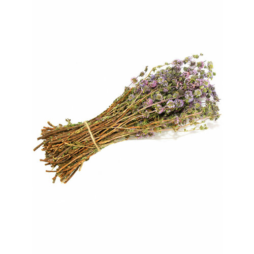     ,   ,  ,  2024,   574 