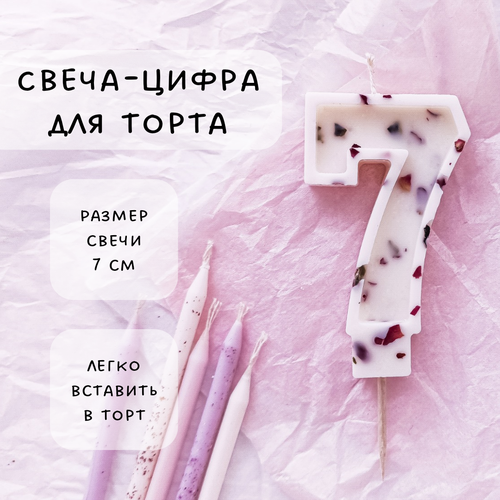 ���� ����� ��� ����� ����� 7, ������ ������, 1��, ������ �� 555 ���