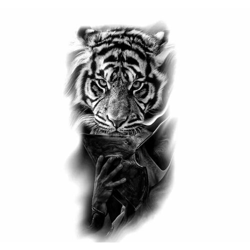 ���� ��������� ���������� ���������� ��� ��������, ����������� ����-�������� �� ����, tatoo, ������ �� 425 ���