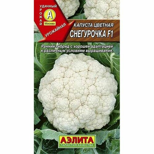 ���� ������ ������� ������� ���������� F1 (�����������) (������) 5��, ������ �� 80 ���