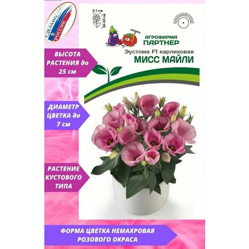 ���� ������� ���������� 