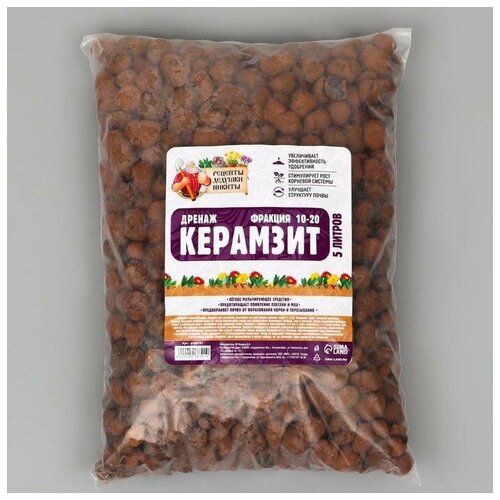 ���� ������ �������� 