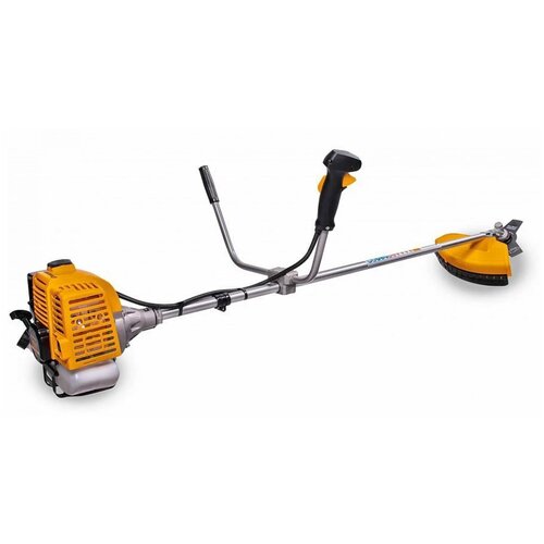 ���� ������� ���������� CHAMPION T517, 2 �.�., 43 ��, ������ �� 19675 ���