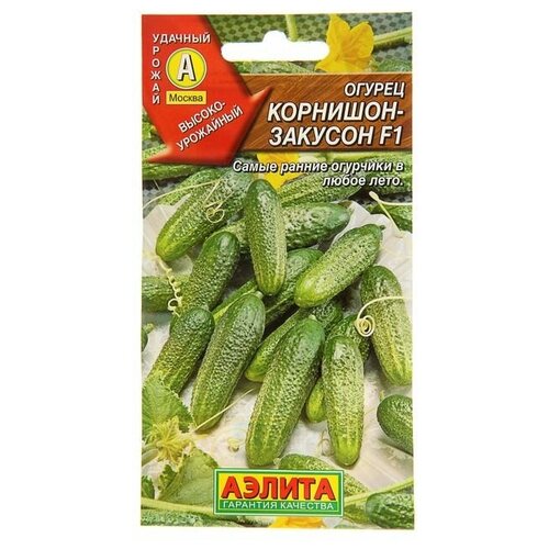 ���� ������ ������ 