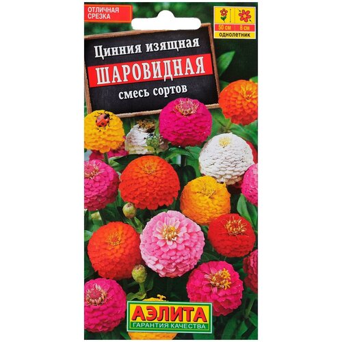 ���� ������ ������ ������ ����������, ����� �������, �, 0,5 �, ������ �� 336 ���