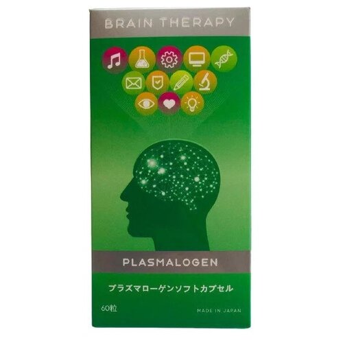  Brain Therapy ., 60 .   -     , -, 