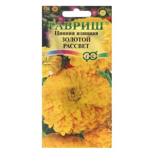 ���� ������. ������ 