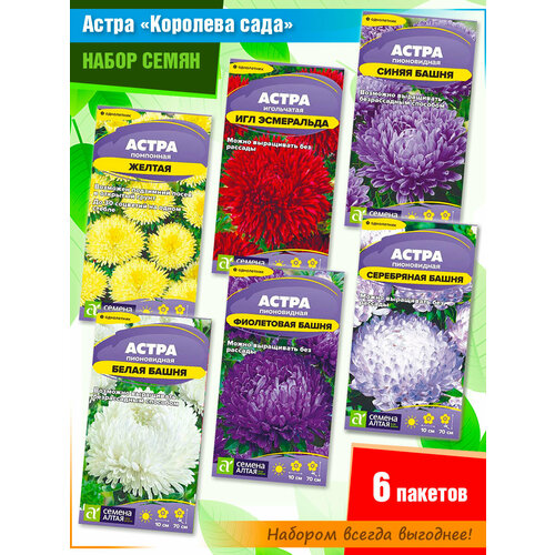    ,        (6 ),   385 