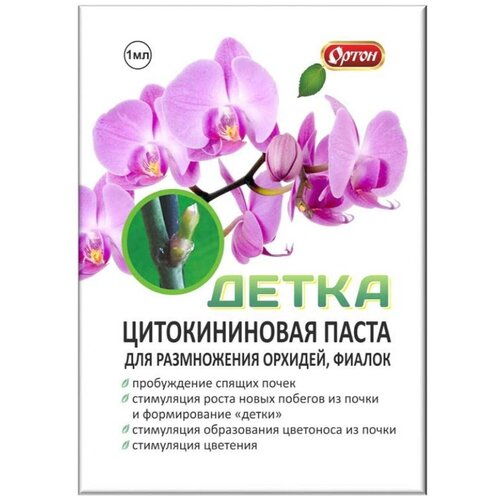 ���� ������������� ����� �����, 1 ��, ������ �� 445 ���