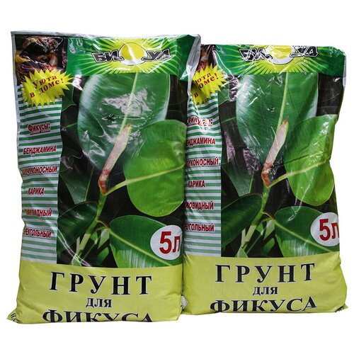 ���� ����� ���� ��� ������� 5 �, �������� 2 �����, ������ �� 580 ���