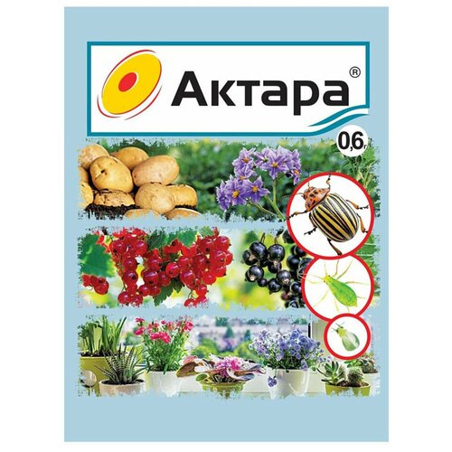 ���� ������ ��� 0,6 � (�/�) ����������, �������� ������ �������� �� ����������, ������ �� 103 ���