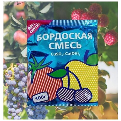 ���� �������� ������ �������� �� ��������� ����������� ��������� ����� ��� ������������� ��������� �������� ��� ������� ��������� ���� , 100�, ������ �� 105 ���