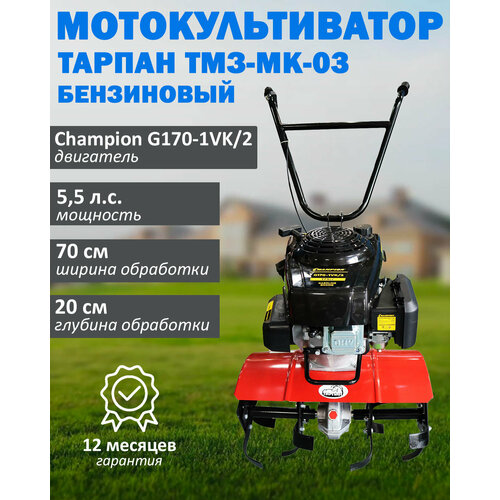 ���� ��������������� ���������� ������ ���-��-03 � ���������� Champion G200VK/2, �������� 6 �. �, ����� 196 ���. ��, ������ �� 54490 ���