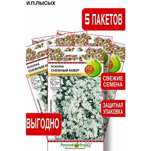 ���� ����� ������� ������� ����� 5��, ������ �� 340 ���