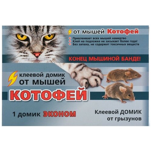 ���� ������� ����� �� �������� 