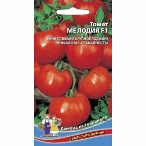 ���� ������ ����� ������� F1 (��������� ������) ��������� 12��, ������ �� 64 ���