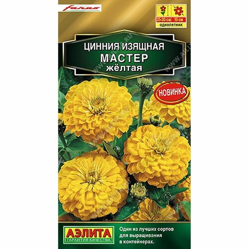 ���� ������ ������ ������ ������, ����������, (������) 12�� ������� ����� ���. Farao, ������ �� 54 ���