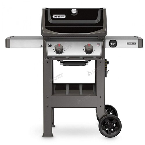    Weber Spirit II E-210 GBS,   89900 