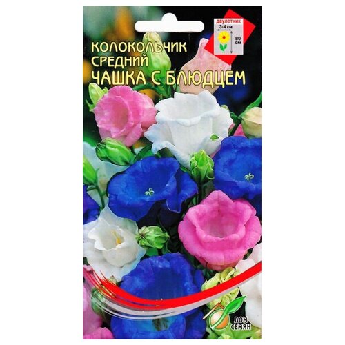 ���� ����������� 