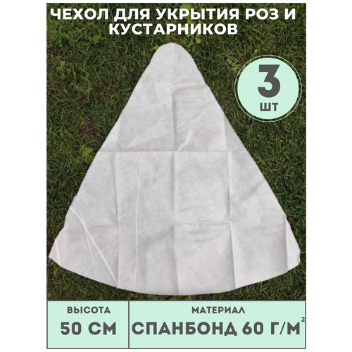    ( 50)     (3 ./.)   60 /2,  ,   480 