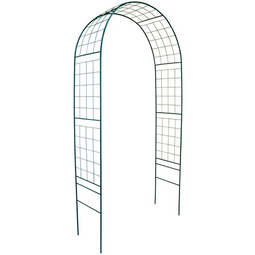 ���� ���� ������� ��������� 