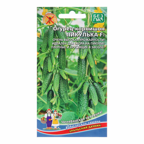 ���� ������ ������ 