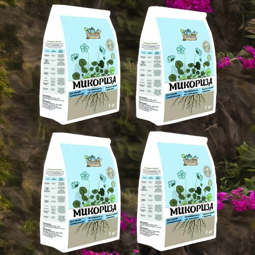 ���� �������� ������� ����� 1�� / 4��. ������ ��������, ������ �� 690 ���