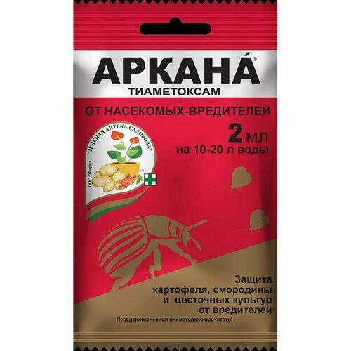 ���� ������ 2�� �� ��������� ����������, ������ �� 69 ���