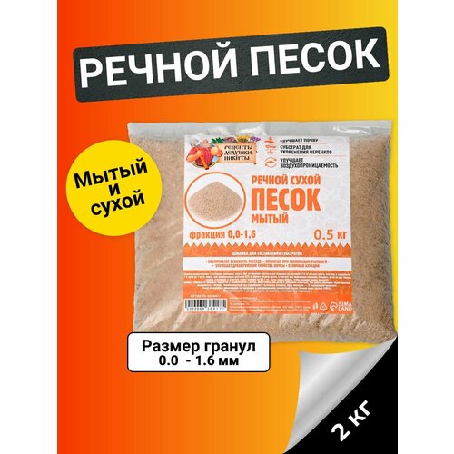 ���� ������ ����� 