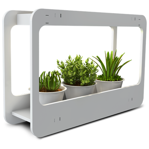  Jazzway -   PMG 002 LED, 1 ., ,   2879 