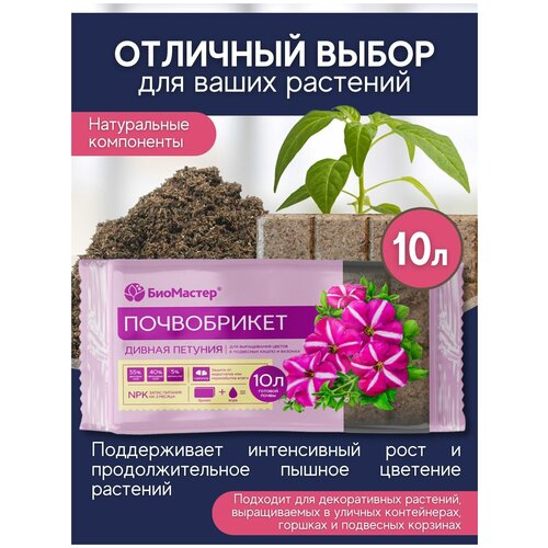        ( ).  . , 10 ,   448 