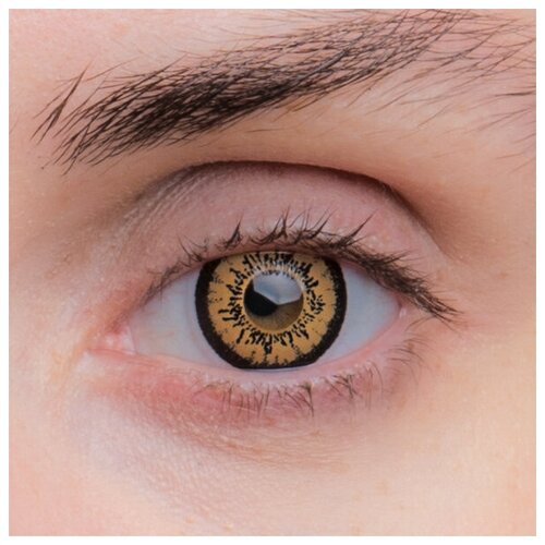 ���� ���������� ����� EOS P-con D 14.2, 2 ��., R 8,7, D 0, 209LB Brown, 1 ��., ������ �� 1290 ���