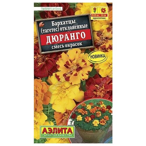 ���� ������. �������� 