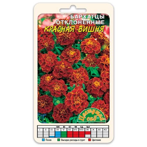 ���� ������ �������� ��� 