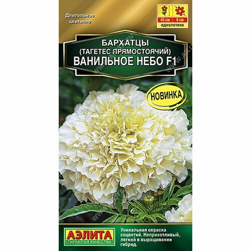 ���� ������ �������� ��������� ���� F1 ��������, ����������, (������) 7�� ������� �����, ������ �� 94 ���