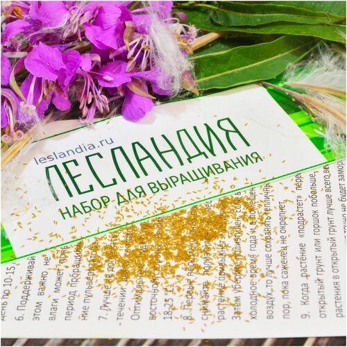 ���� ����-��� ������, ������, 500 ��, ������ �� 412 ���