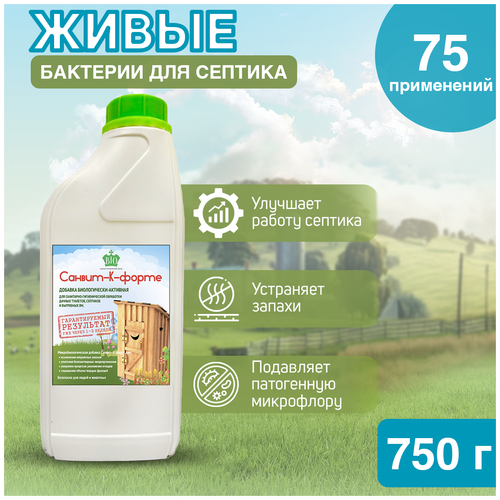 ���� �������� 