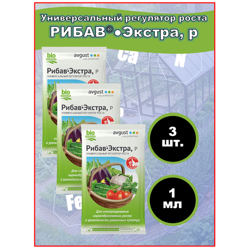 ���� ��������� ��������� ����� � ����������������� �����-������ 1 ��, 3 ��, ������ �� 554 ���