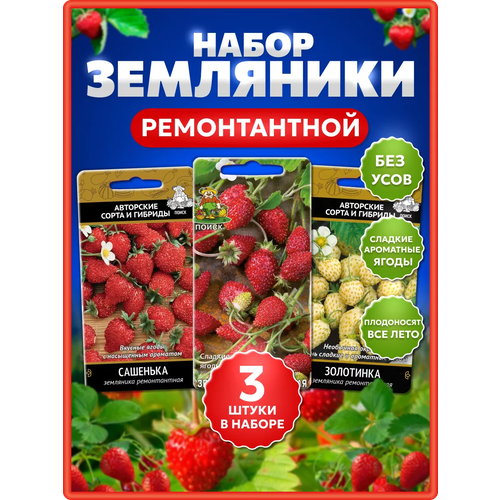   /    ,   , , , , , ,   384 