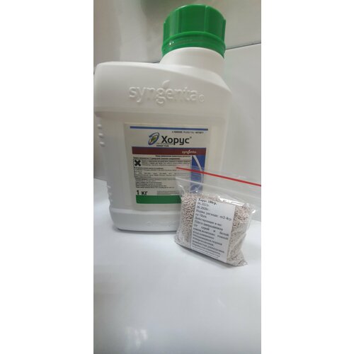 ���� ����� 100��(������ �������), ������ �� 1500 ���