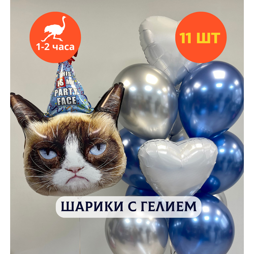 ���� ������ ��������� �� ���� ��������, ��������� ���� � ������, ���� � ���� ��������, ����� ����� ��� ������� 